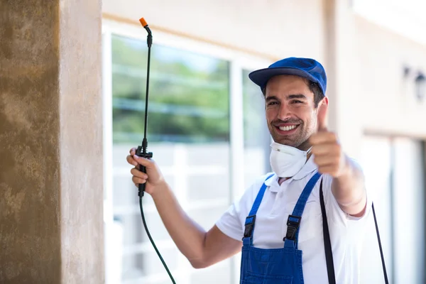Laguna Beach Wasp Removal