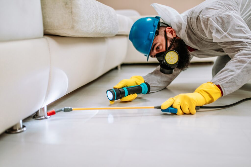 Laguna Beach Termite Control