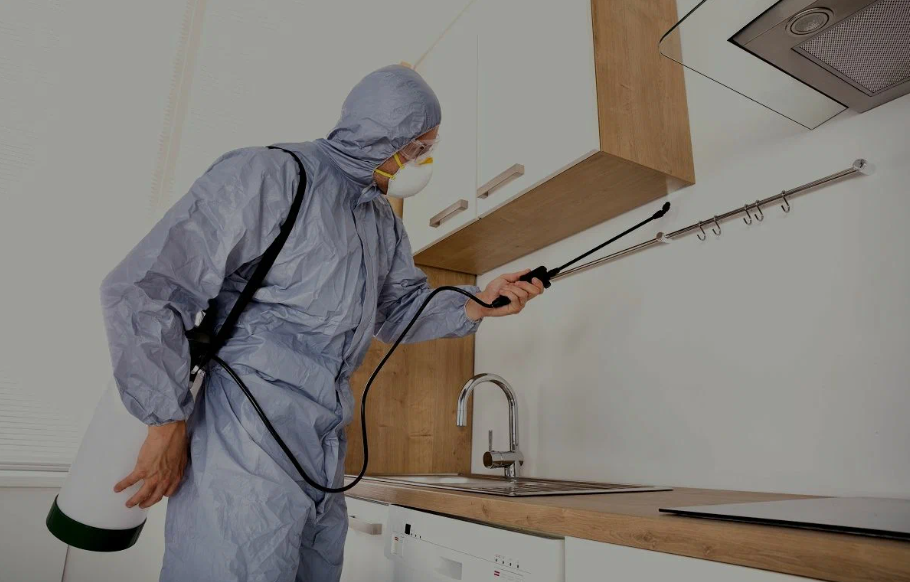 Laguna Beach pest managment